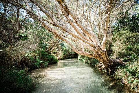 3-Day Fraser Island Resort Package - Holiday Adelaide 5
