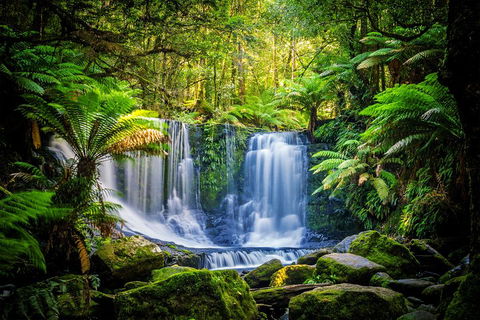 Day Tour In Mt. Field, Mt. Wellington, Bonorong Wildlife Sanctuary And Richmond - Holiday Adelaide 0