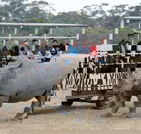 Off-Road Safari at Werribee Open Range Zoo - Holiday Adelaide