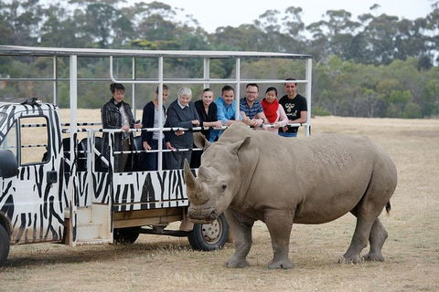 Off-Road Safari At Werribee Open Range Zoo - Holiday Adelaide 0