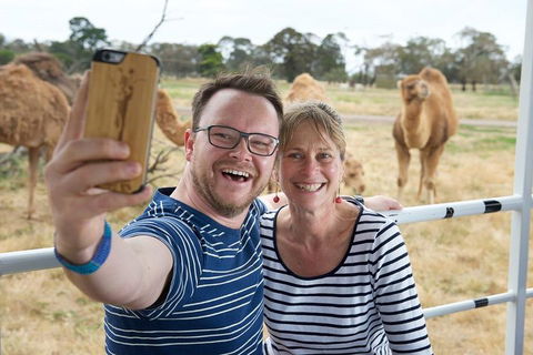 Off-Road Safari At Werribee Open Range Zoo - Holiday Adelaide 1