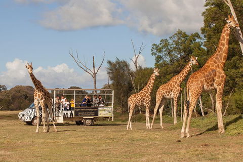 Off-Road Safari At Werribee Open Range Zoo - Holiday Adelaide 3