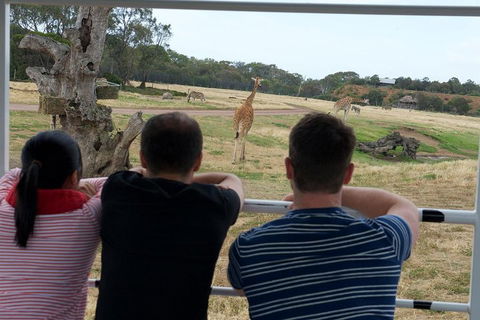 Off-Road Safari At Werribee Open Range Zoo - Holiday Adelaide 4