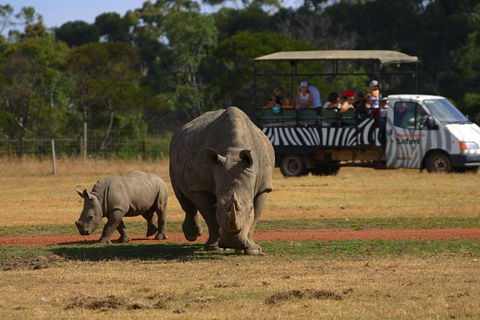 Off-Road Safari At Werribee Open Range Zoo - Holiday Adelaide 5