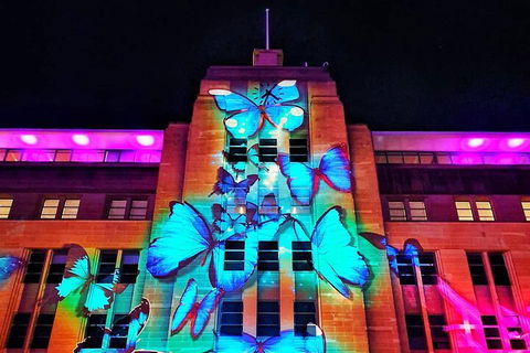 Vivid 90-Minute Sydney Harbour Small Group Catamaran Cruise - Holiday Adelaide 0