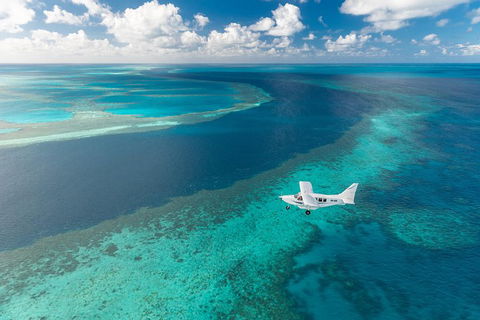 Scenic Flight - Great Barrier Reef, Heart Reef, Whitehaven Beach & Hill Inlet! - Holiday Adelaide 3