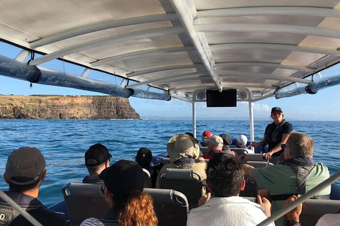 Julian Rocks Byron Bay Cruise - Holiday Adelaide 4