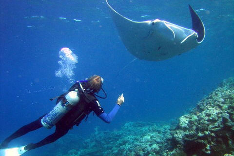 3 Day Whitsundays Sailing And Diving Adventure: Kiana - Holiday Adelaide 3