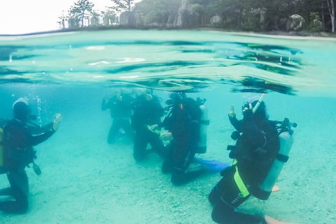 3 Day Whitsundays Sailing And Diving Adventure: Kiana - Holiday Adelaide 4