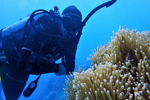 3 Day Whitsundays Sailing And Diving Adventure: Kiana - Holiday Adelaide 5