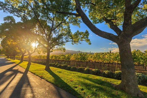 Very Best Of Perth Tour - Wildlife Park & City Highlights Tour - Holiday Adelaide 2