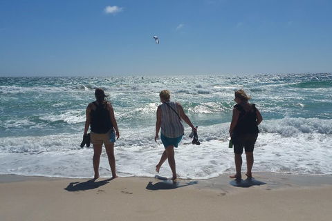 Very Best Of Perth Tour - Wildlife Park & City Highlights Tour - Holiday Adelaide 5