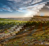 Perth to Margaret River Wine Tour - 2 Day Premium Boutique Wine Tour Experience - Holiday Adelaide