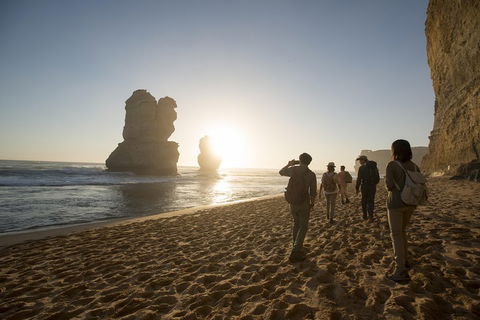 Small-Group Sunset Great Ocean Road Chocolaterie Tour From Melbourne - Holiday Adelaide 1