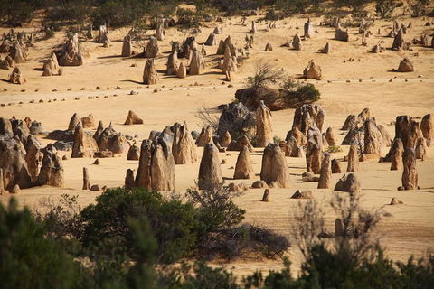Pinnacles Sunset Dinner And Stargazing Experience A Small Group Tour - Holiday Adelaide 0