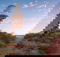 6-Day Coral Coaster from Perth to Exmouth One-Way via Monkey Mia Ningaloo Reef - Holiday Adelaide