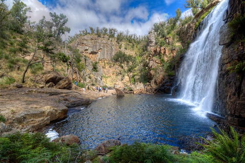 Melbourne To Adelaide South East Coast 3 Day Overland Tour - Holiday Adelaide 4