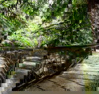 12 Apostles Eco-Friendly Great Ocean Road Iconic Adventure from Melbourne - Holiday Adelaide