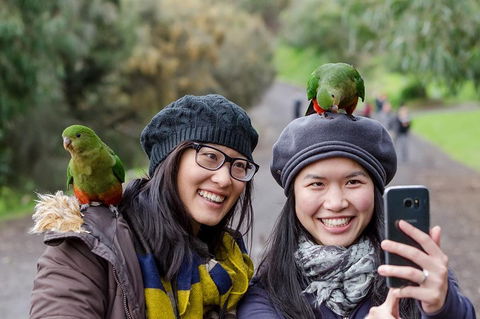 Small-Group Great Ocean Road And 12 Apostles Full-Day Tour From Melbourne - Holiday Adelaide 0