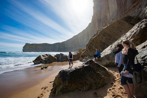 Small-Group Great Ocean Road And 12 Apostles Full-Day Tour From Melbourne - Holiday Adelaide 1