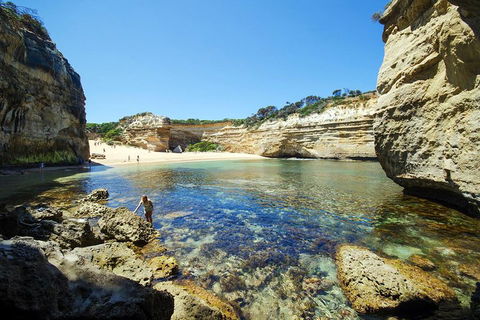 Small-Group Great Ocean Road And 12 Apostles Full-Day Tour From Melbourne - Holiday Adelaide 5