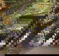 Adelaide Highlights Hahndorf  McLaren Vale Wine Tasting and Sightseeing Tour - Holiday Adelaide
