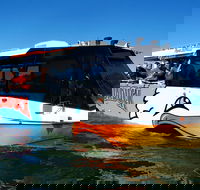 Express Jet Boat Ride  Aquaduck - Holiday Adelaide