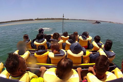 Jet Boat Express Ride - 30mins - Holiday Adelaide 5