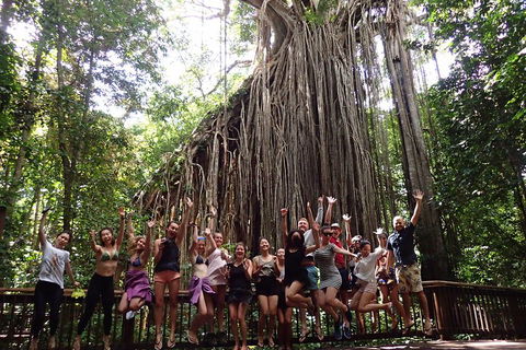Atherton Tablelands Waterfalls Tour From Cairns - Holiday Adelaide 5
