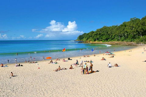 Noosa Everglades Serenity Cruise & Highlights Tour Inc. Lunch & Cruise - Holiday Adelaide 4