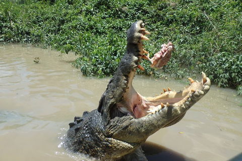 Litchfield And Jumping Crocodiles Full Day Trip From Darwin - Holiday Adelaide 3