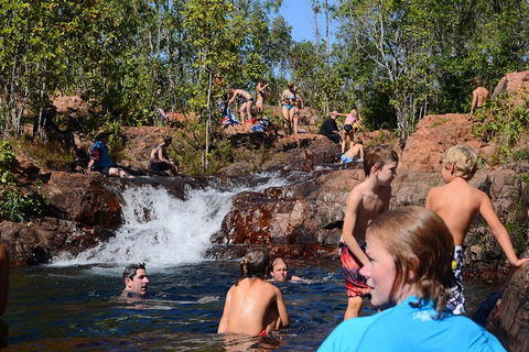 Litchfield And Jumping Crocodiles Full Day Trip From Darwin - Holiday Adelaide 5
