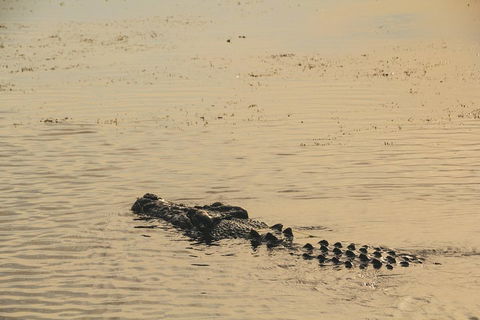 Yellow Water Cruise - Kakadu - Holiday Adelaide 2