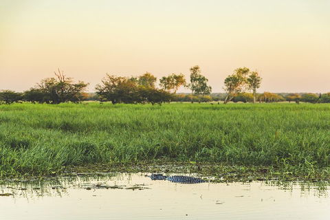 Yellow Water Cruise - Kakadu - Holiday Adelaide 3
