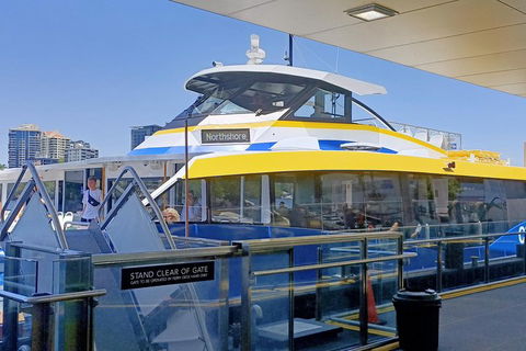 Brisbane City Essentials Walking Tour - Holiday Adelaide 3