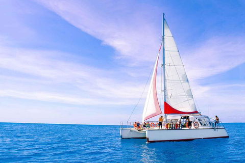 Full-Day Great Barrier Reef Sailing Trip - Holiday Adelaide 4