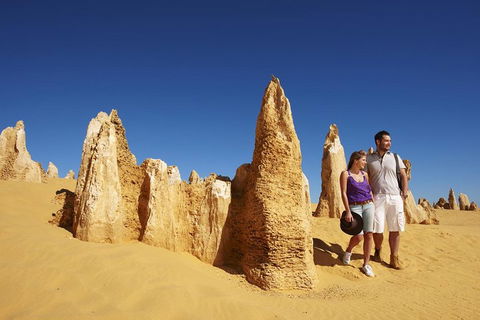Pinnacles Day Trip From Perth Including Yanchep National Park - Holiday Adelaide 0