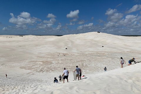 Pinnacles Day Trip From Perth Including Yanchep National Park - Holiday Adelaide 2