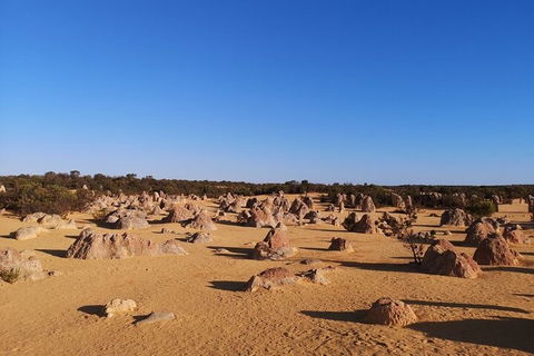 Pinnacles Day Trip From Perth Including Yanchep National Park - Holiday Adelaide 3