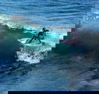 Great Ocean Road Highlights Tour - 2 Days 1 Night - Holiday Adelaide
