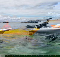 Seal Island and Penguin Island or Point Peron Sea Kayak Tour - Holiday Adelaide