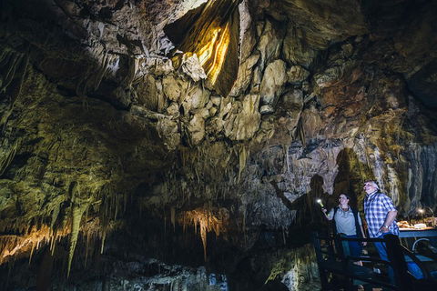 Ngilgi Cave Semi-guided Tour - Holiday Adelaide 0