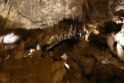 Ngilgi Cave Semi-guided Tour - Holiday Adelaide 2