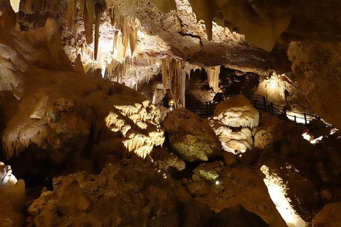 Ngilgi Cave Semi-guided Tour - Holiday Adelaide 3