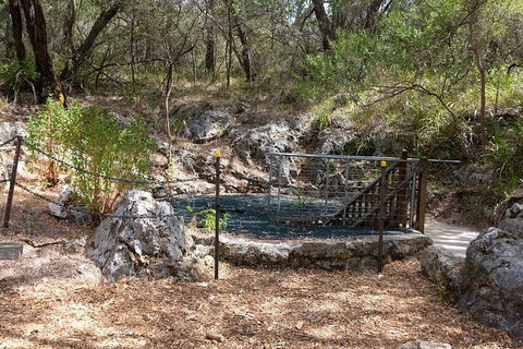Ngilgi Cave Semi-guided Tour - Holiday Adelaide 4