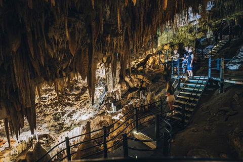 Ngilgi Cave Semi-guided Tour - Holiday Adelaide 5