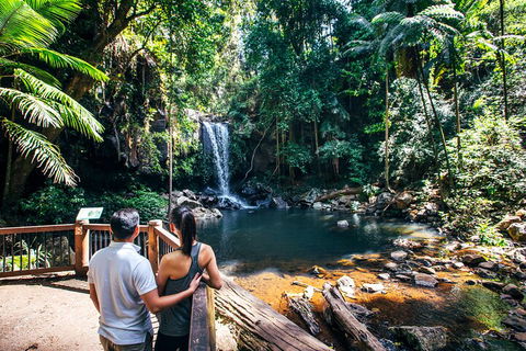 Aquaduck & Your Choice Of Gold Coast Rainforest Tour - Holiday Adelaide 0