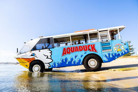 Aquaduck & Your Choice Of Gold Coast Rainforest Tour - Holiday Adelaide 3
