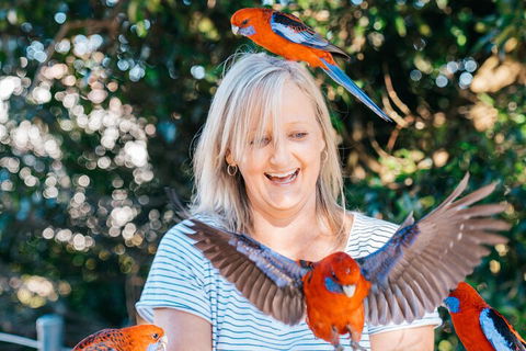 Aquaduck & Your Choice Of Gold Coast Rainforest Tour - Holiday Adelaide 5