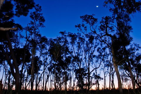 Small-Group Kangaroo Island 4WD Night Tour - Holiday Adelaide 2